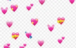 OCs