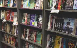 Book Standalones and Series: Ranked