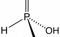 Menschlichkeit