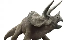 Dinosaur