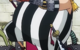 one piece perso