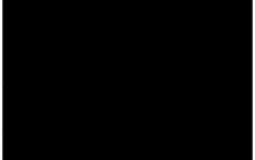 asatida dzp