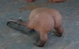 random shit