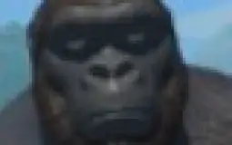 cgvhj