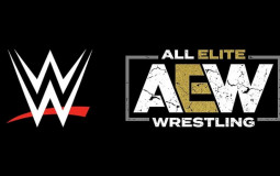 WWE/AEW Women Wrestlers 2020