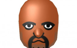 Mii/Mario Charters