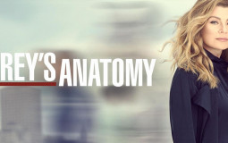 Greys Anatomy couples