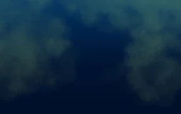 Social media perfomers