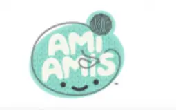 Ami Amis wave 2