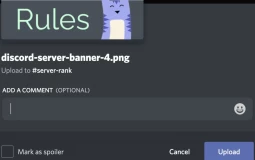 Discord rules
