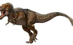 Dinosaur Tierlist.