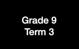 Term Ranking