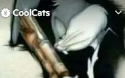 Cool Cat Race
