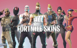 Skin Fortnite