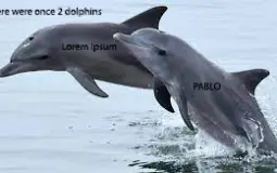 nfdsgbkjsdhlf