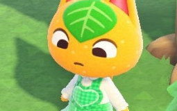 Animal Crossing Cats