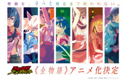 Monogatari Novels