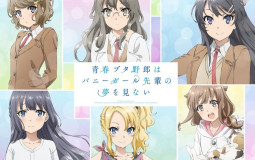 Bunny Girl Senpai Waifu Tier List