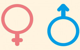 Top Genders