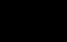 Staff