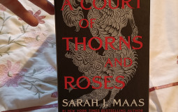 Acotar Tier List