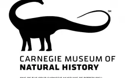 Carngine Collection Dinosaurs