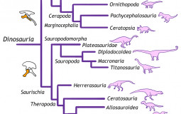 Dinosaur Families