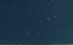 KDrama