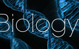 Asignaturas Biología