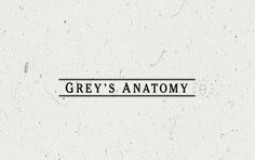 grey's anatomy hotties