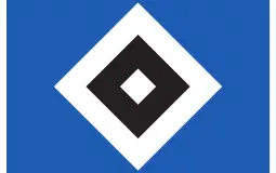 HSV TransferFlops