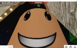 no