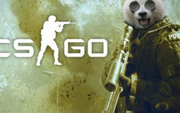 CSGO Stats