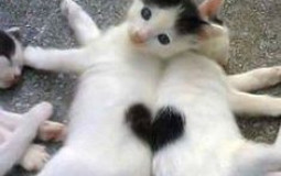 friends