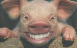 hdfikb