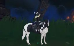 MY SSO HORSES