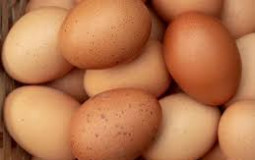 Eggs