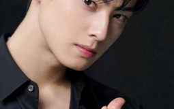 handsome k idols/actors