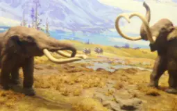 ice age animals