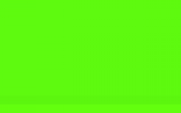 Which Dream SMP Member can survive Squid Game