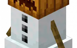 minecraft shits