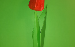 rtyr