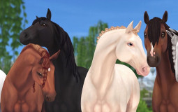 SSO HORSES