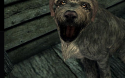 Skyrim good bois