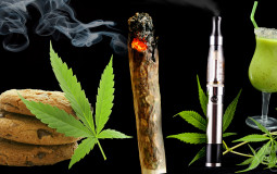 Best Sources for High
