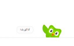 سيد