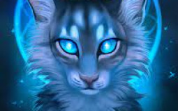 Warrior cats