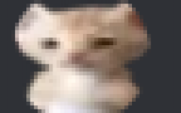 hi