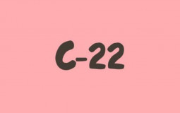 C-22 2 курс