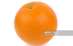 Orange Camps